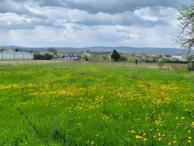 Teren de vanzare Vârfu Câmpului